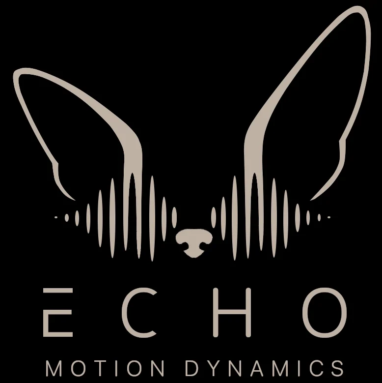 Echo Motion Dynamics